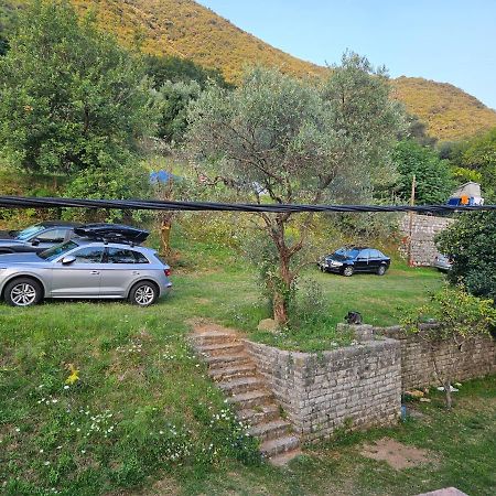 Apartmani Markovic 科托尔 外观 照片