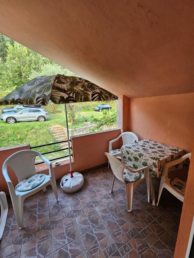 Apartmani Markovic 科托尔 外观 照片
